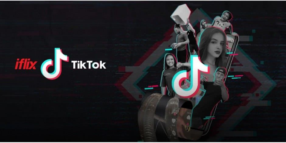 TikTok Creator Database Comparison: What Makes Creator Data Useful for Sellers?