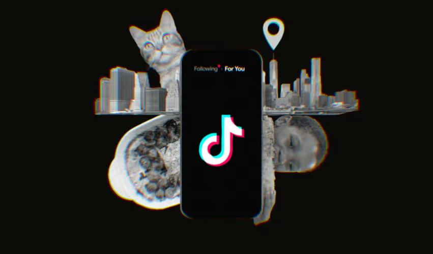 当 TikTok Shop 联盟计划开始难以自行管理时