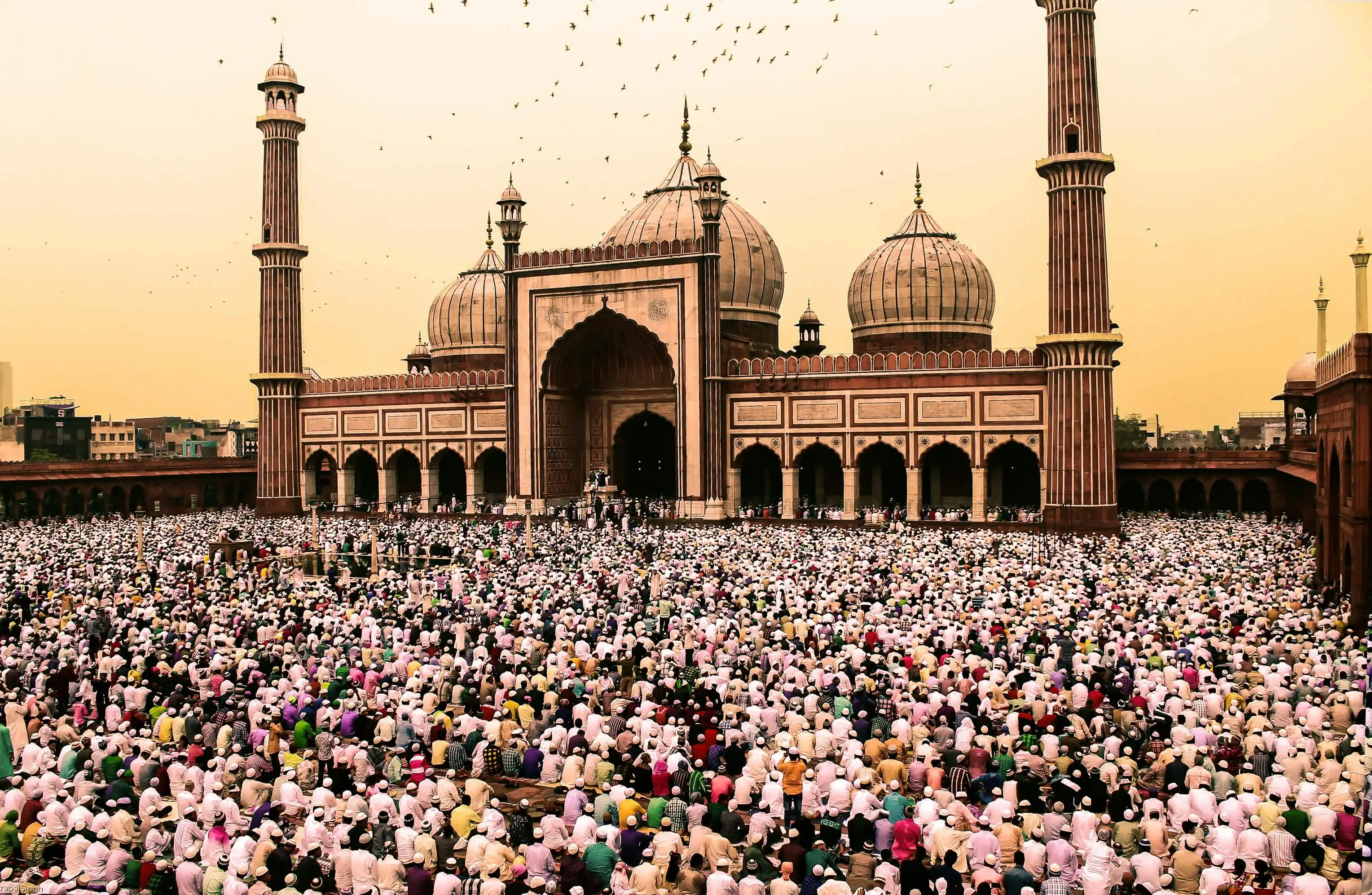 Menyiapkan Kampanye Kreator TikTok untuk Ramadan di Indonesia